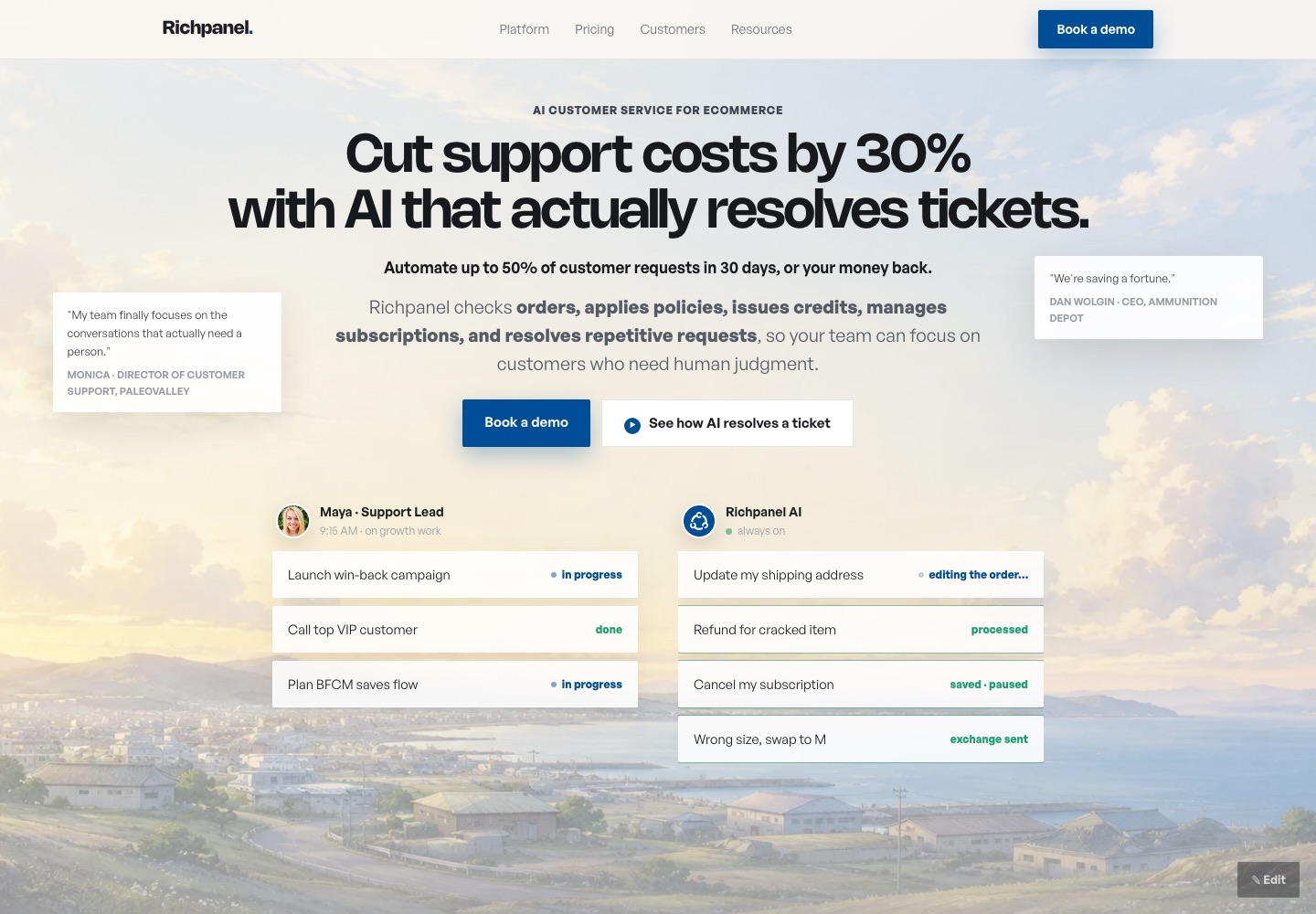 Richpanel homepage redesign concept